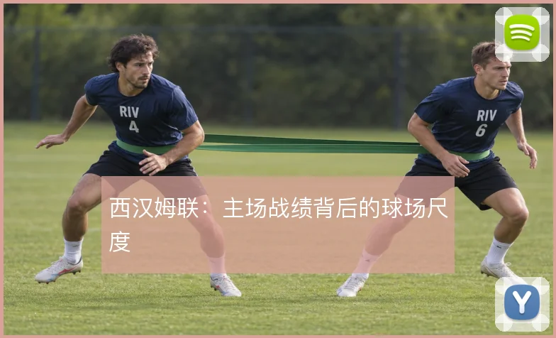 西汉姆联:主场战绩背后的球场尺度