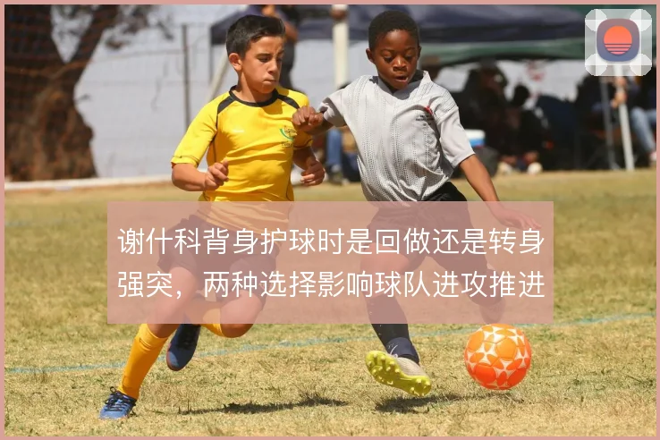 谢什科背身护球时是回做还是转身强突，两种选择影响球队进攻推进节奏