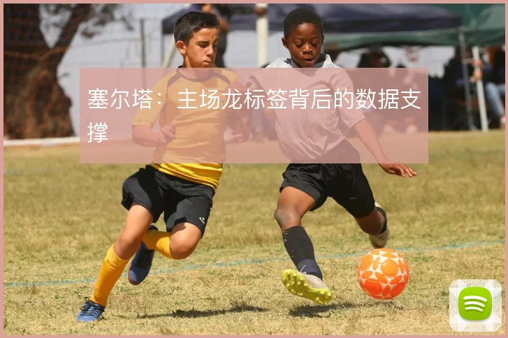 塞尔塔:主场龙标签背后的数据支撑
